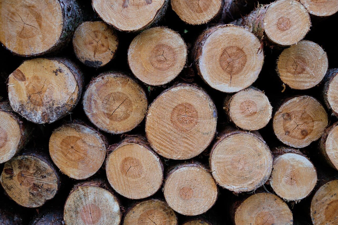 Close-up of stacked wooden logs showcasing natural textures in Penrith, UK.